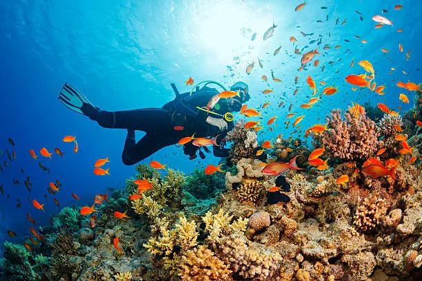 Fun Activities in Alibaug- Mumbai