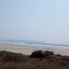 Awas Beach