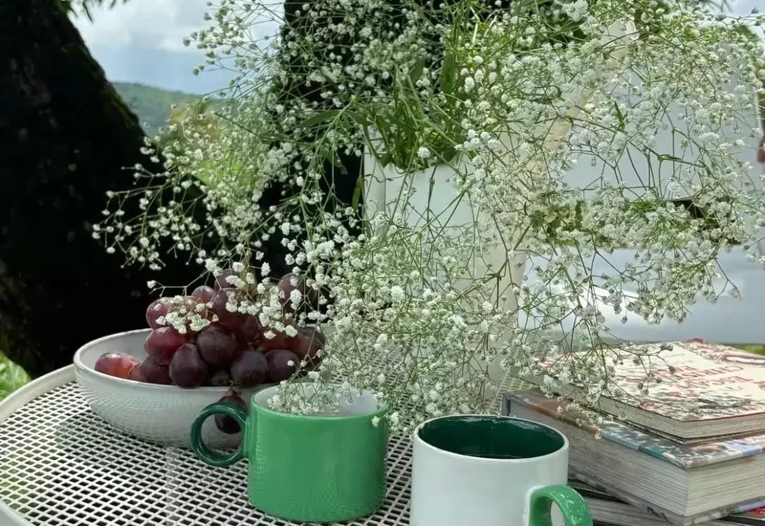 Animal-friendly decor and flooring