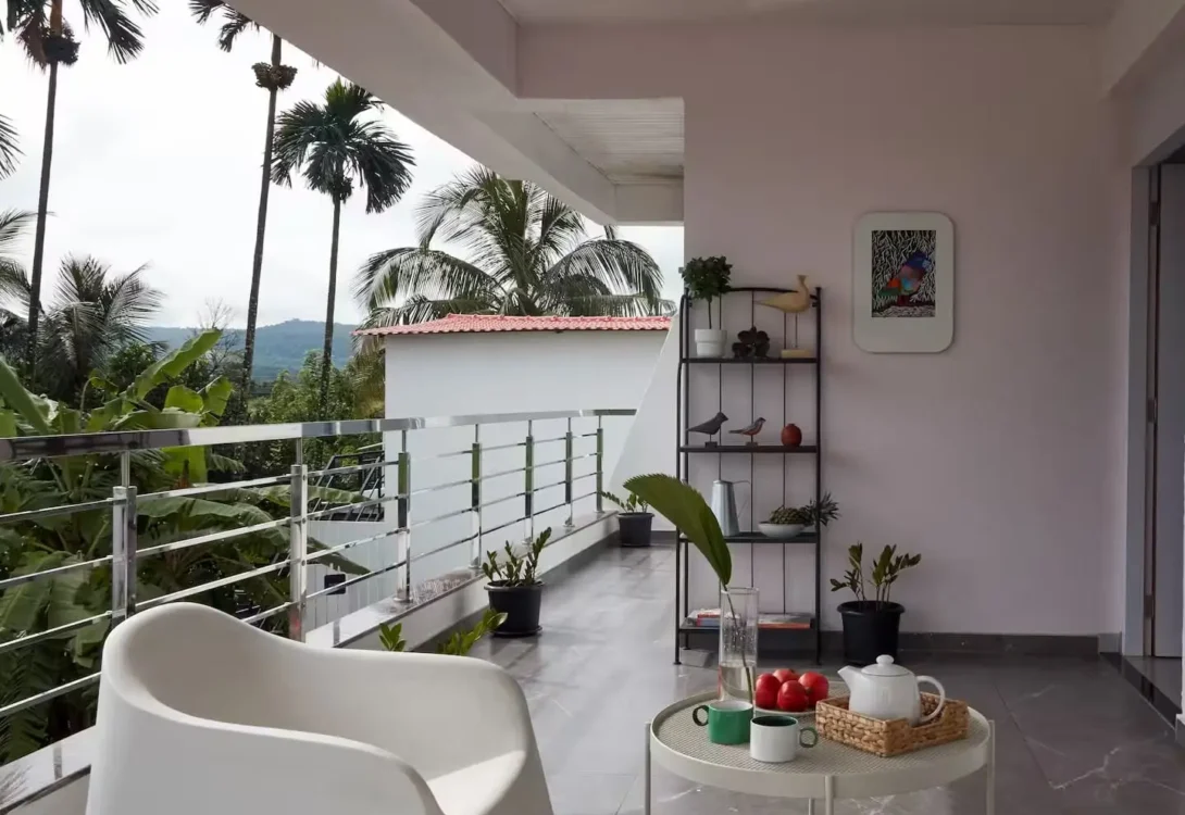 Coconut grove with walking space