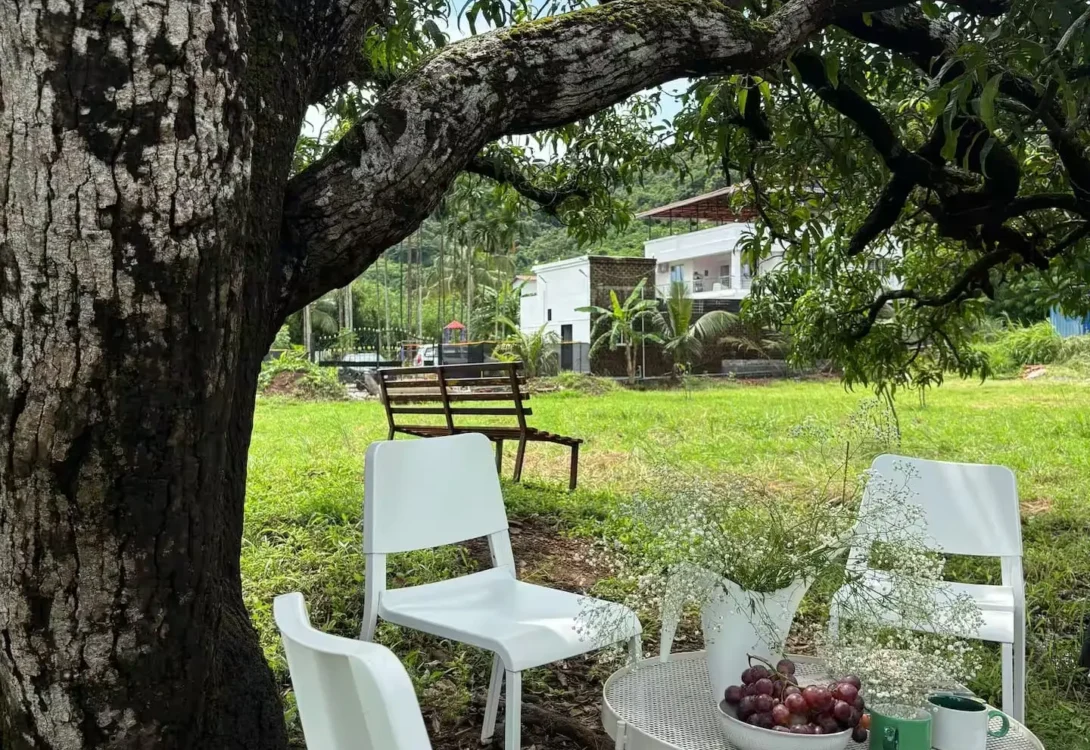 Eco-friendly pet-safe environment