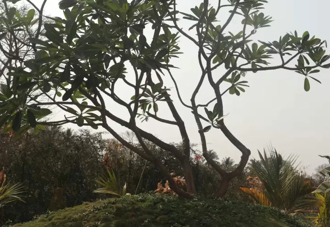 Hillside villa with sunrise view