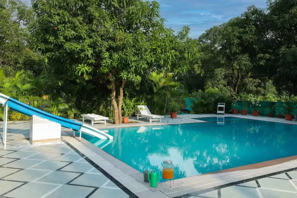 Infinity pool surrounded by greenery