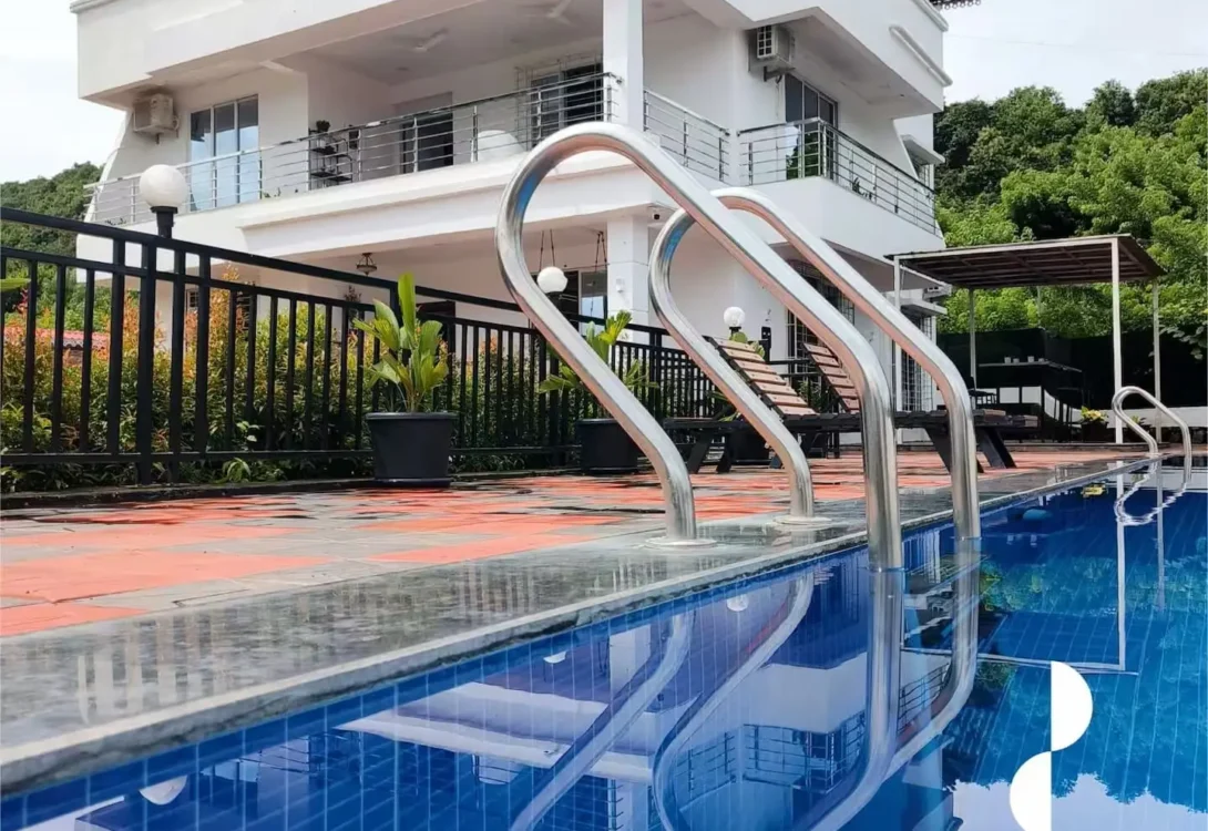 Loungers with pet cover options