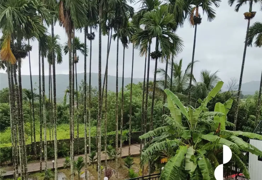 Pet-accommodating weekend homes Alibaug