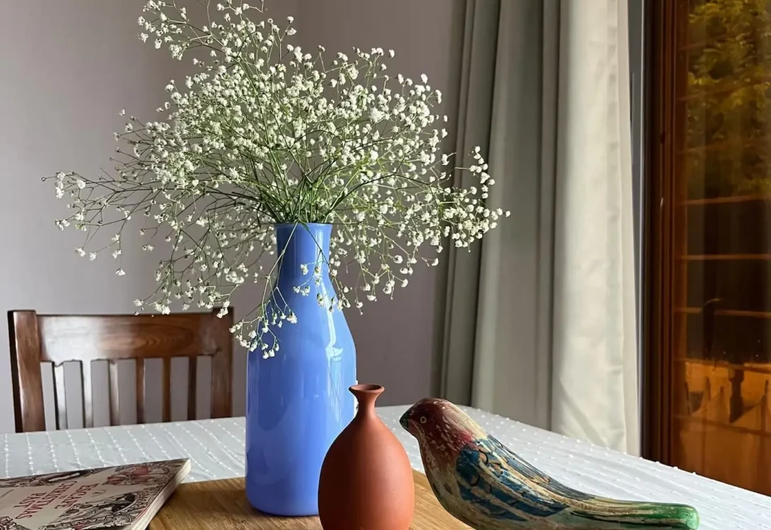 Rustic ambiance with natural light Alibaug