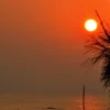 best couple-friendly hotels in Alibaug