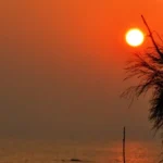 best couple-friendly hotels in Alibaug