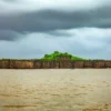 Forts in Alibaug