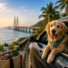 Mumbai to Alibaug with Dog- Travel Guide